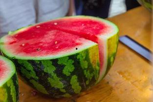 吃瓜学校100集免费看,百集校园风云,免费畅享青春记忆 第3张 吃瓜学校100集免费看,百集校园风云,免费畅享青春记忆 第3张